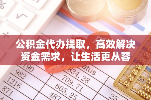 延津公积金代办提取，高效解决资金需求，让生活更从容