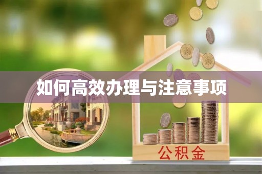 延津如何高效办理与注意事项