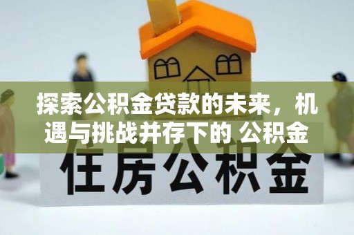 延津探索公积金贷款的未来，机遇与挑战并存下的 公积金贷款风险防控