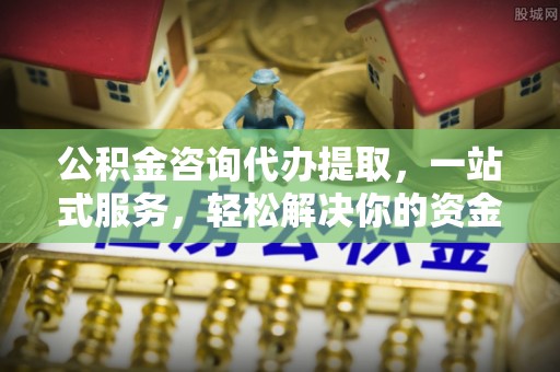 延津公积金咨询代办提取，一站式服务，轻松解决你的资金难题