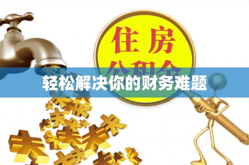延津轻松解决你的财务难题