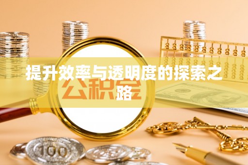 延津提升效率与透明度的探索之路
