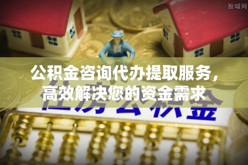 延津公积金咨询代办提取服务，高效解决您的资金需求