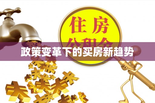 延津政策变革下的买房新趋势