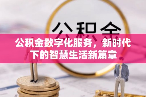 延津公积金数字化服务，新时代下的智慧生活新篇章