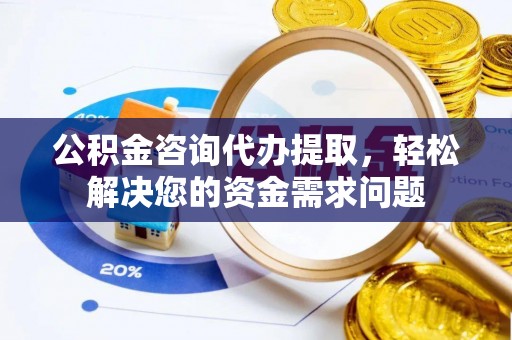延津公积金咨询代办提取，轻松解决您的资金需求问题