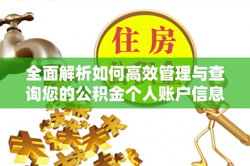 延津全面解析如何高效管理与查询您的公积金个人账户信息
