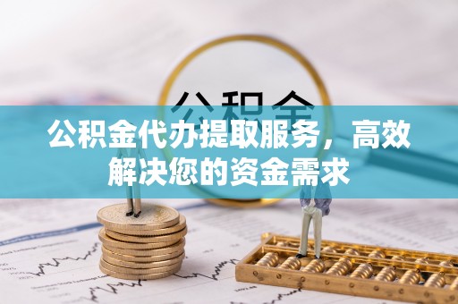 延津公积金代办提取服务，高效解决您的资金需求