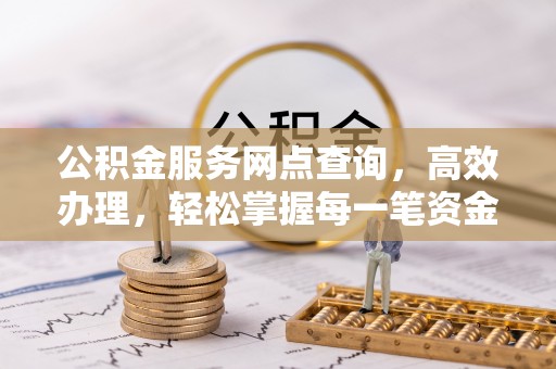 延津公积金服务网点查询，高效办理，轻松掌握每一笔资金动态