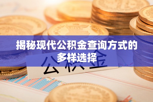 延津揭秘现代公积金查询方式的多样选择