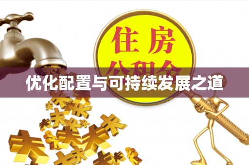 延津优化配置与可持续发展之道