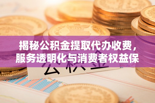延津揭秘公积金提取代办收费，服务透明化与消费者权益保障