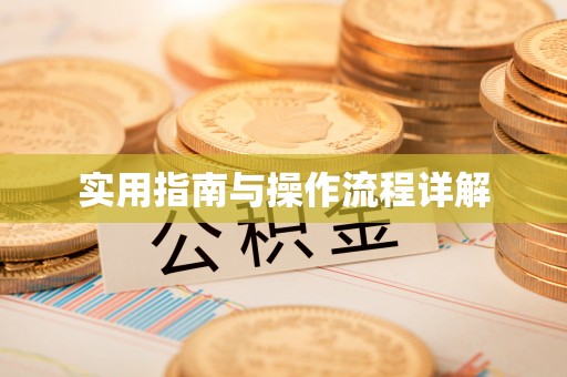 延津实用指南与操作流程详解