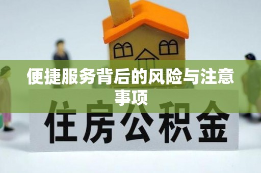 延津便捷服务背后的风险与注意事项