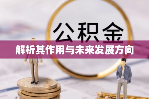 延津解析其作用与未来发展方向