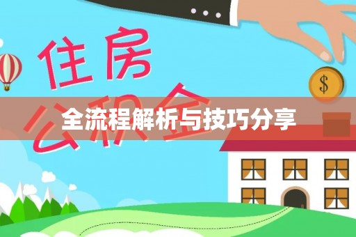 延津全流程解析与技巧分享