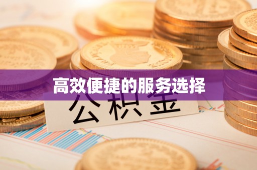延津高效便捷的服务选择