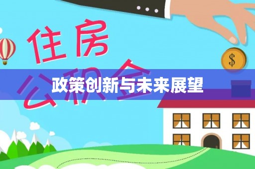 延津政策创新与未来展望